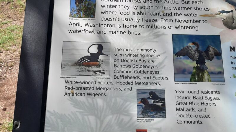 Keyport Saltwater Park - Keyport, WA