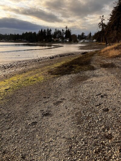Keyport Saltwater Park - Keyport, WA