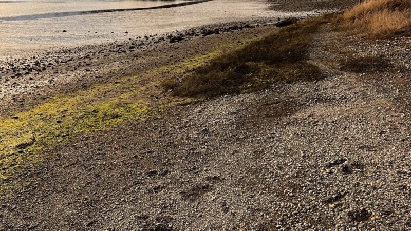 Keyport Saltwater Park - Keyport, WA