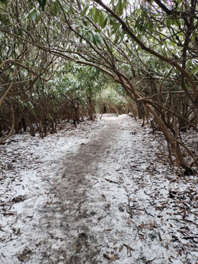 Hawk Falls - Kidder Township, PA