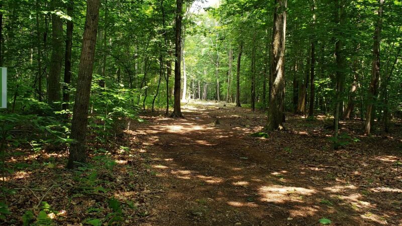 Killingworth Recreational Park - Killingworth, CT