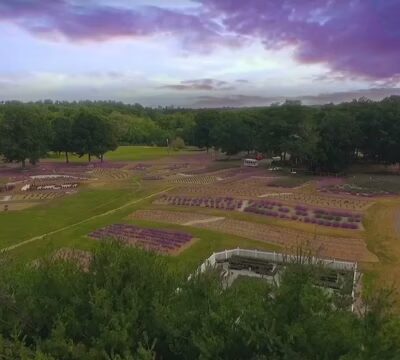 Lavender Pond Farm - Killingworth, CT