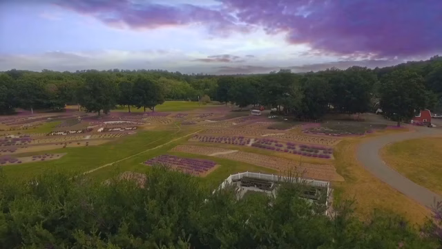 Lavender Pond Farm - Killingworth, CT