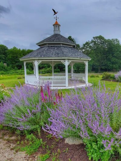 Lavender Pond Farm - Killingworth, CT
