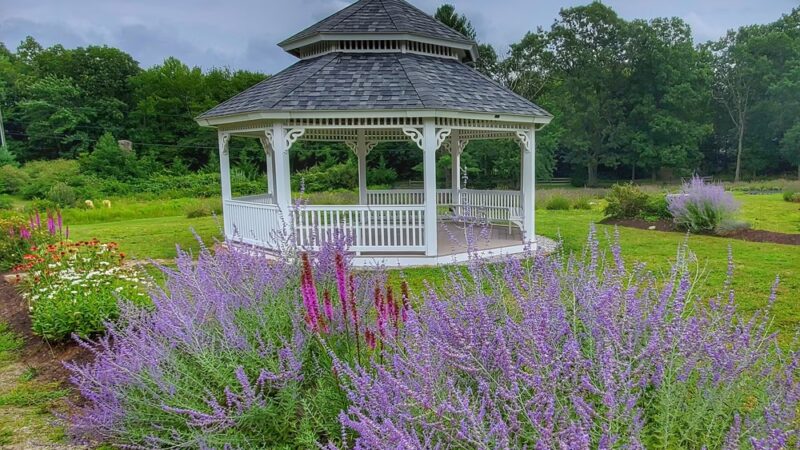 Lavender Pond Farm - Killingworth, CT