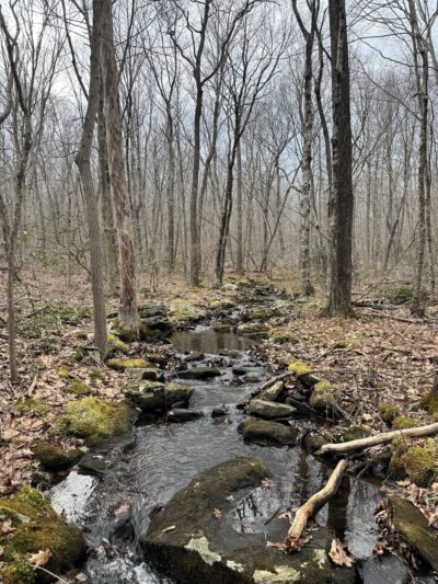 Parmelee Farm - Killingworth, CT