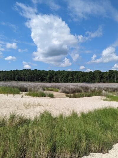 Hughlett Point Natural Area Preserve - Kilmarnock, VA