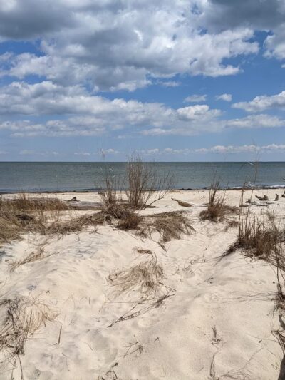 Hughlett Point Natural Area Preserve - Kilmarnock, VA