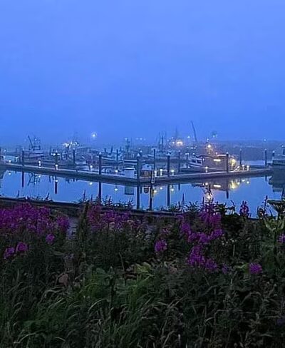 Marathon Trail - King Cove, AK