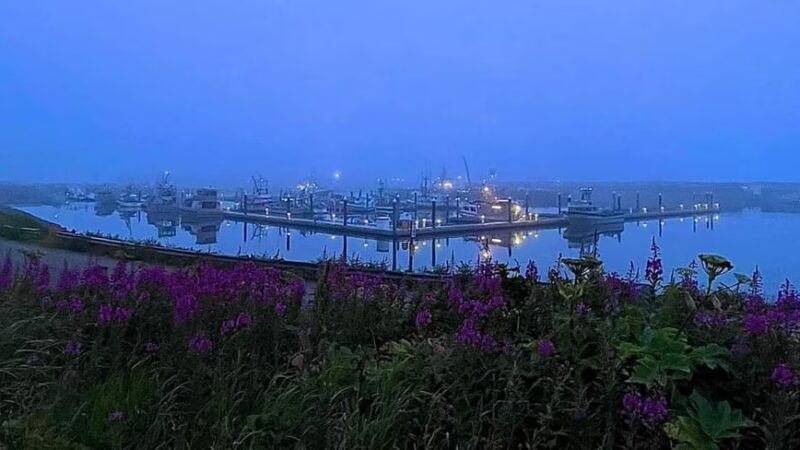 Marathon Trail - King Cove, AK
