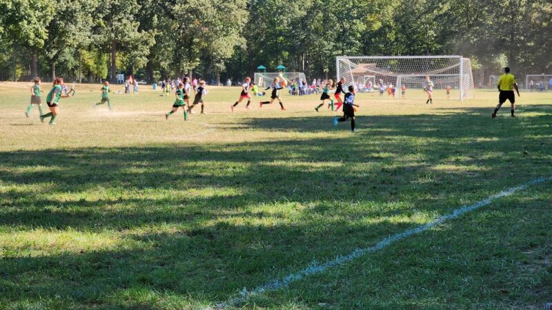 Barnesfield Park - King George, VA