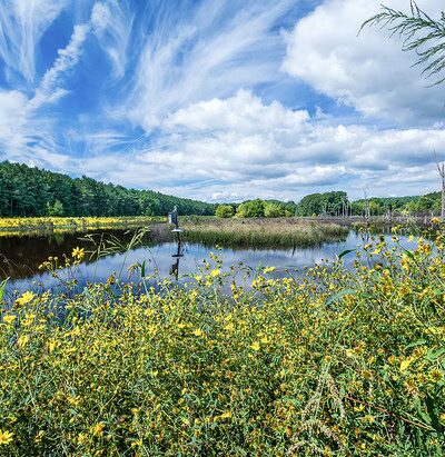 Caledon State Park - King George, VA