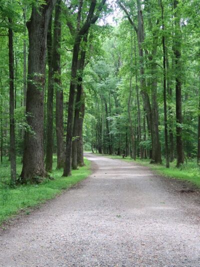 Caledon State Park - King George, VA