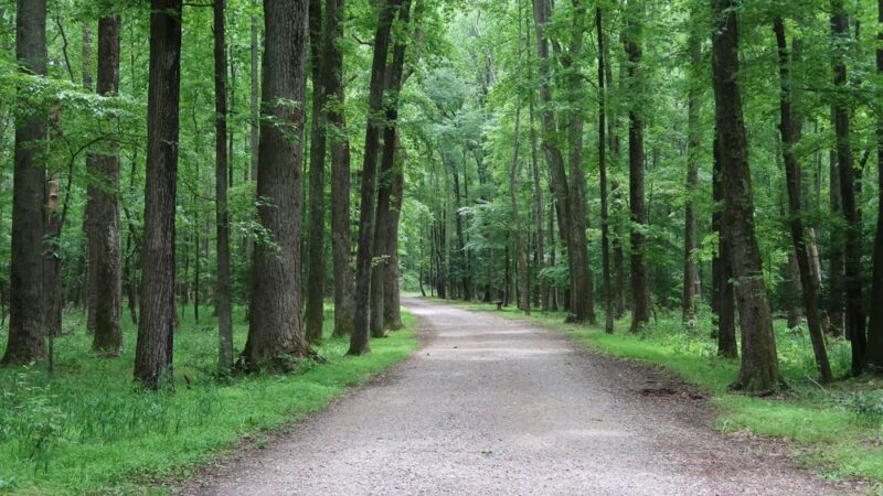 Caledon State Park - King George, VA