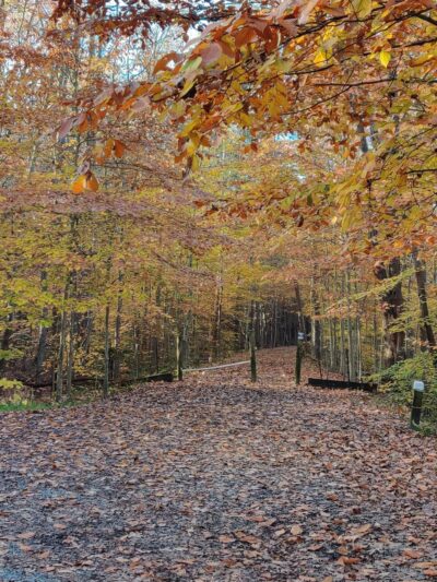 Dahlgren Heritage Rail Trail parking - King George, VA