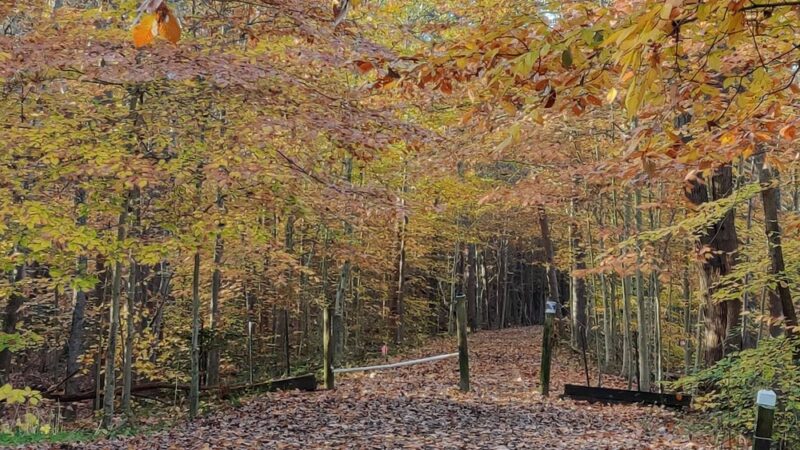 Dahlgren Heritage Rail Trail parking - King George, VA