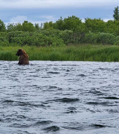 Katmai B&B - King Salmon, AK