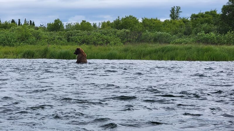 Katmai B&B - King Salmon, AK
