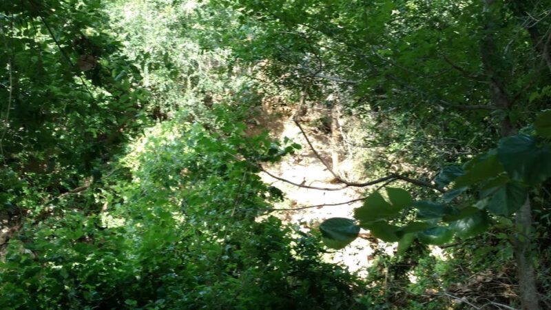 Kingfisher Park Department - Kingfisher, OK