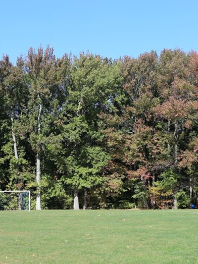 Kings Point Park - Kings Point, NY