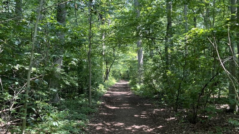 Kings Point Park - Kings Point, NY