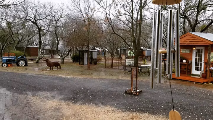 Janda Exotics Animal Ranch - Kingsbury, TX