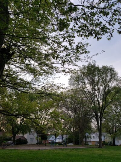 Hammond Park - Kingsport, TN