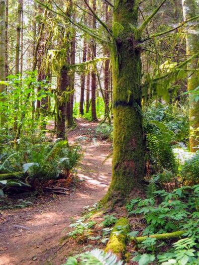Port Gamble Forest Heritage Park - Kingston, WA
