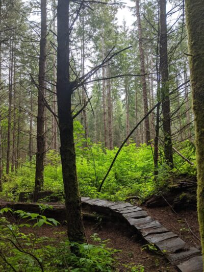 Port Gamble Forest Heritage Park - Kingston, WA