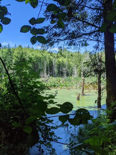 Port Gamble RC Field Trailhead - Kingston, WA