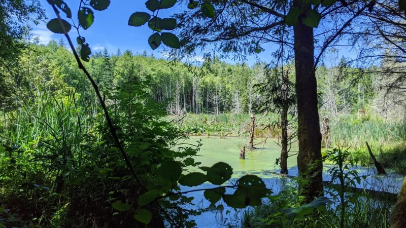 Port Gamble RC Field Trailhead - Kingston, WA