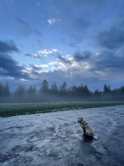 Port Gamble RC Field Trailhead - Kingston, WA