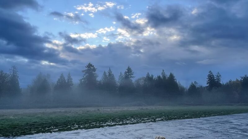 Port Gamble RC Field Trailhead - Kingston, WA
