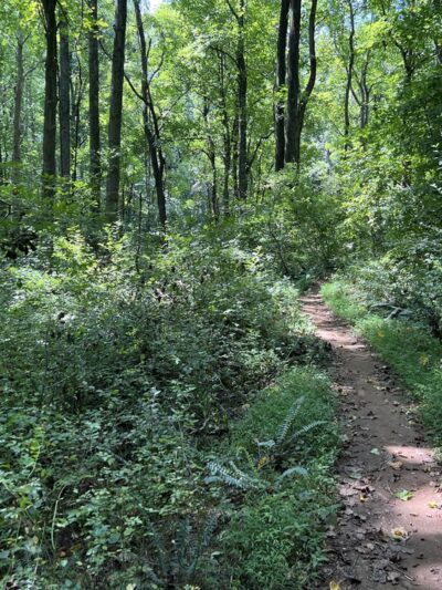 LGP Harford Rd Trailhead - Kingsville, MD