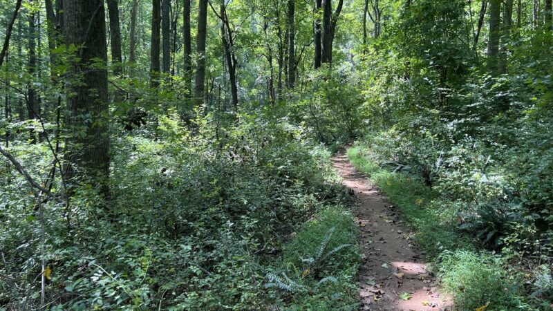 LGP Harford Rd Trailhead - Kingsville, MD
