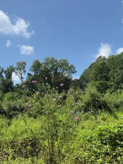 LGP Harford Rd Trailhead - Kingsville, MD