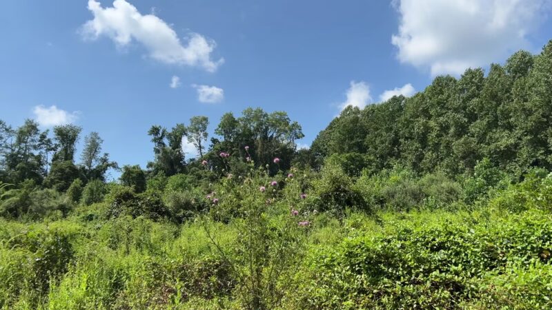LGP Harford Rd Trailhead - Kingsville, MD