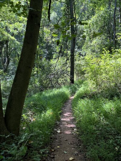 LGP Harford Rd Trailhead - Kingsville, MD