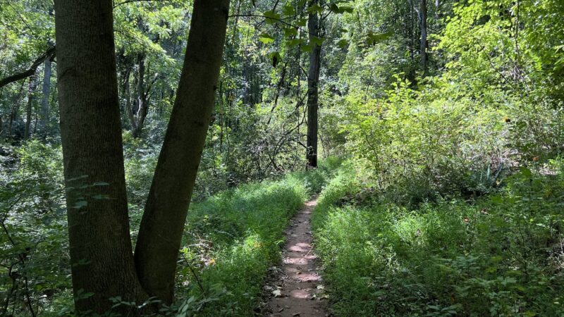 LGP Harford Rd Trailhead - Kingsville, MD