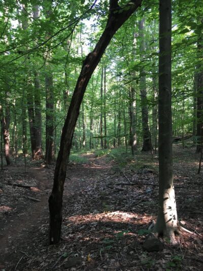 Old Quarry - Kingsville, MD