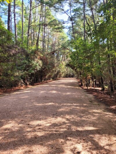 Creekwood Nature Area - Kingwood, TX