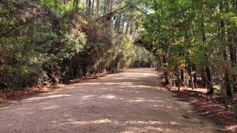 Creekwood Nature Area - Kingwood, TX