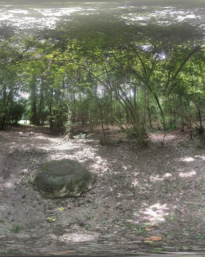 Creekwood Nature Area - Kingwood, TX