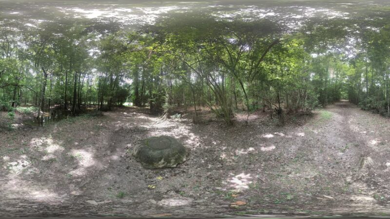 Creekwood Nature Area - Kingwood, TX