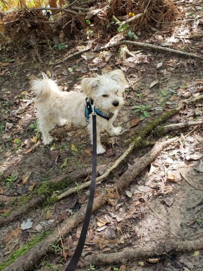 Creekwood Nature Area - Kingwood, TX