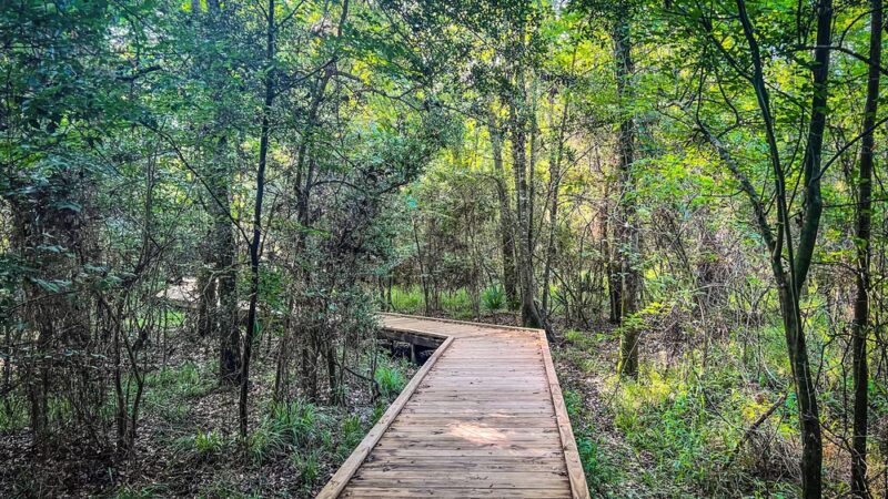 East End Park - Kingwood, TX