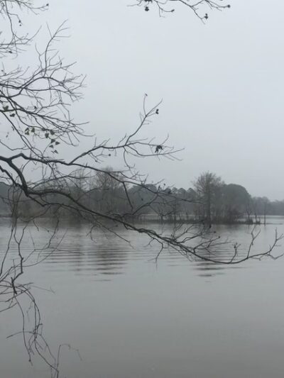 East End Park - Kingwood, TX