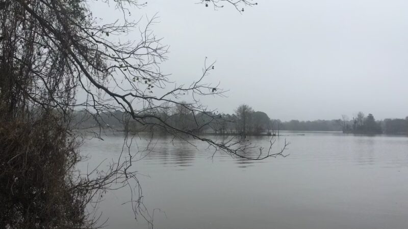 East End Park - Kingwood, TX