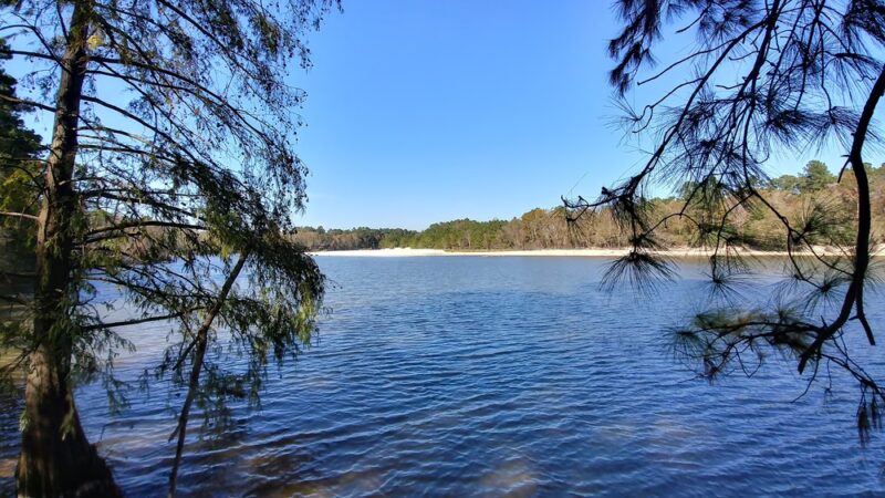 East End Park - Kingwood, TX