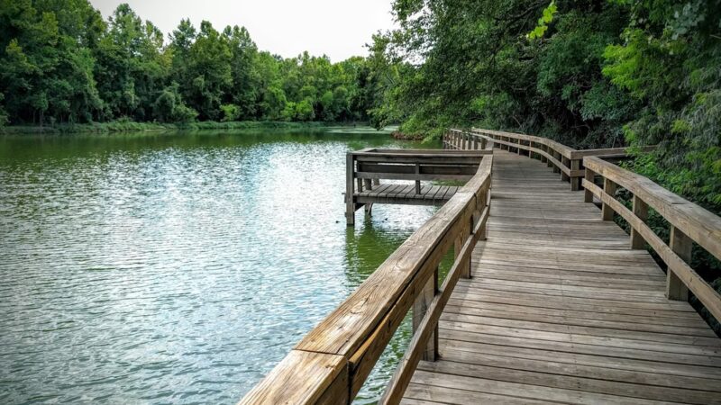 River Grove Park - Kingwood, TX